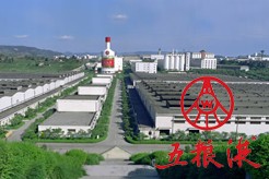《五糧液：